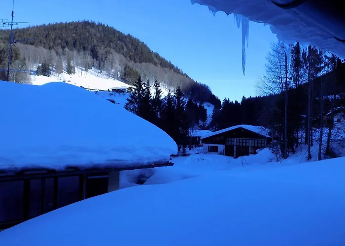 Hotel Alpenhotel Bergzauber